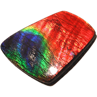 Ammolite